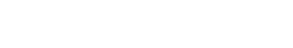 HansBass